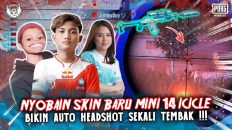 BTR-RYZEN PAKE SKIN MINI-14 ICICLE BIKIN AUTO HEADSHOT TERUS